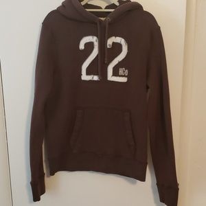 hollister brown hoody